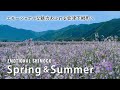 エモーショナルな魅力あふれる会津下郷町へ 【春・夏】