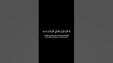 إن الذين قالوا ربنا الله ثم استقاموا.. سورة فصلت: كروما سوداء