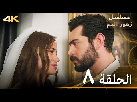 الحلقة 8 مسلسل زهور الدم مدبلج بالعربية Kan Çiçekleri 