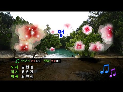 200111 김현정 - 멍(남자키)(1절만)(노래방 일반인)