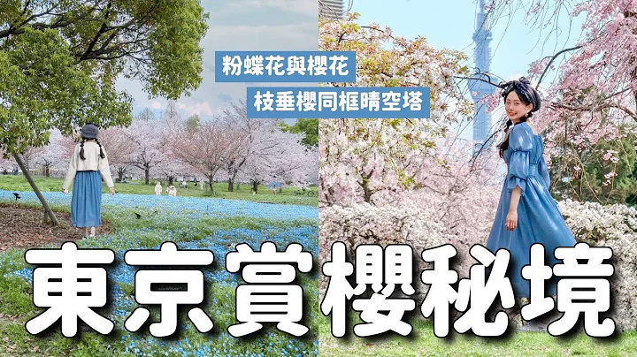 在地人推荐！2个东京赏樱秘境🌸搭都电荒川线出发！200棵枝垂樱还看得到晴空塔 & 粉蝶花与樱花交织｜尾久之原公园 舍人公园｜日本东京旅游 4K VLOG - 天天要闻