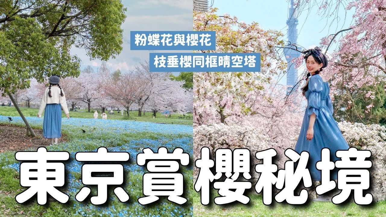 在地人推薦！2個東京賞櫻秘境🌸搭都電荒川線出發！200棵枝垂櫻還看得到晴空塔 & 粉蝶花與櫻花交織｜尾久之原公園 舍人公園｜日本東京旅遊 4K VLOG