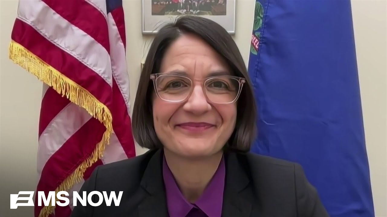 “People are DISGUSTED”: What one Democrat saw at No Kings Day