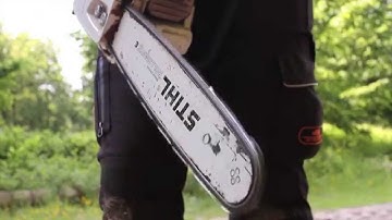 ECC1 - chain catcher  (European Chainsaw Certificate)