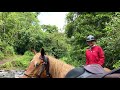 Horseback Ride in the real jungle