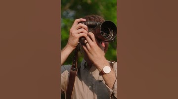 #MagMod XL Modifiers are Motivating Photographers Worldwide to Dust Off Their Strobes