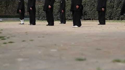 武當太乙五行拳 陳師行道長弟子  Wudang Tai Yi Wu Xing Quan by Master Chen Shixing disciple