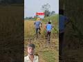 #funny #comedy #trending #kheti #khet