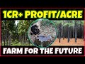 Most profitable tree farming businesses  most expensive trees  best trees to grow