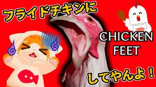 【🐔Chicken Feet🍗】みにゃの者～今夜はフライドチキンにゃ🔥🔥🔥【🐾子猫VTuber😼】