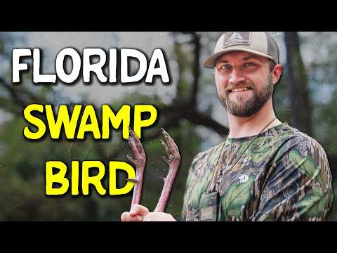 GOBBLING IN GUN RANGE | Textbook Roost Hunt! My First Osceola