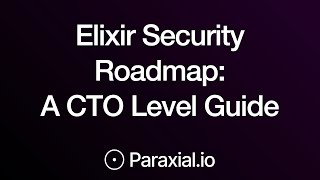 Elixir Security Roadmap: A CTO Level Guide