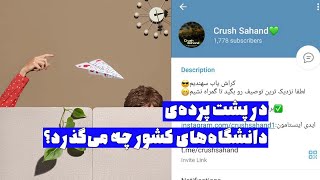 در پشت پرده ی دانشگاه های کشور چه می گذرد؟