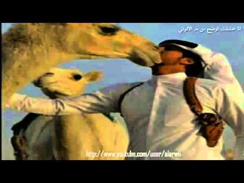 شيلة انا عشقت الوضح مسرعه