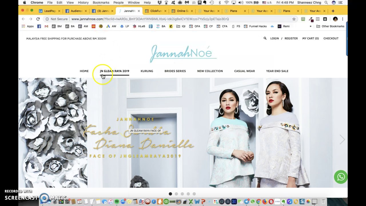 FB Audience Insights