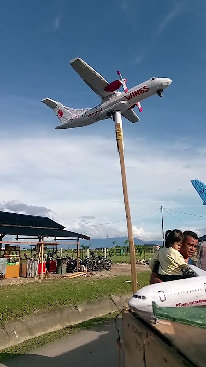miniatur pesawat wings air dan air asia#aviation #airplane #miniature #shortvideo