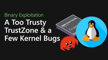 098 - A too trusty TrustZone and a few Linux Kernel bugs [Binary Exploitation Podcast]