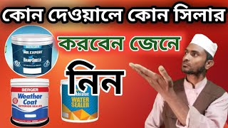 দেওয়ালে কোন সিলার ব্যবহার করবেন // বিল্ডিং এর রং করার নিয়ম । Sealer Paint