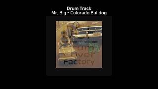 Mr Big  Colorado Bulldog  Drum Track