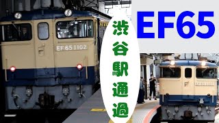 1両編成で走るEF65　in渋谷駅　【1両で走る列車って可愛くないですか？】
