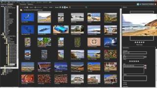 4 Essential Photo Editing Tips from a PaintShop Insider - Part 1