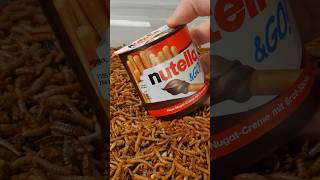 Mealworms Vs Nutella