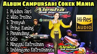  Vol.14 Album Campursari Cokek Mania| Alesha Musik