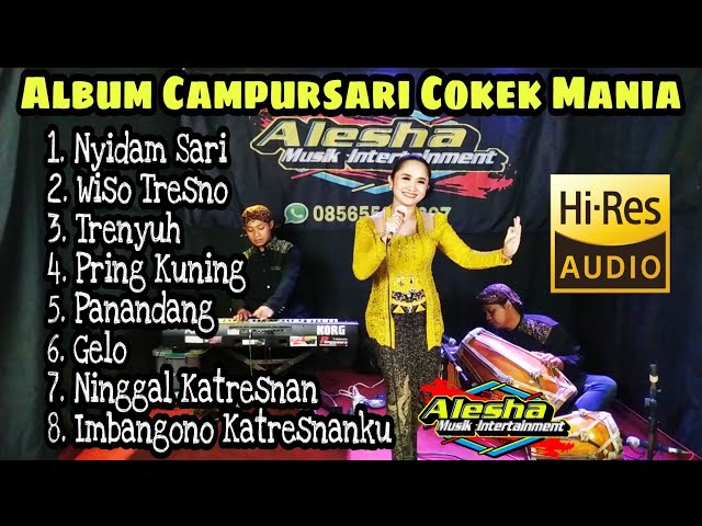 [ Vol.14 ] Album Campursari Cokek Mania || Alesha Musik class=