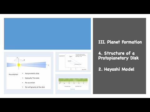III.4.2. Hayashi Model