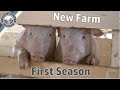 Starting Up a Farm From Scratch