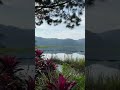 NEW LEYTE MACO STUNNING NATURE #shortsfeed #philippines #nature #shorts #davaodeoro