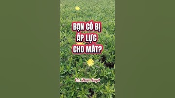 Bạn có bị áp lực cho mắt? #hanhiethuyet #songkhoe #suckhoe #phongcach #phunu #save10