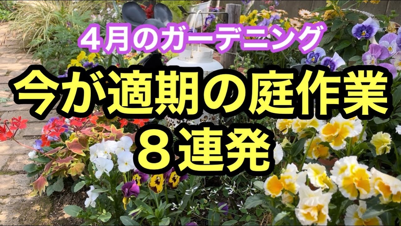 Welcome to the garden of Japan's home. Introducing the beautiful