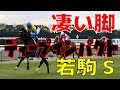 【奇跡の末脚】ディープインパクト 2005年若駒S