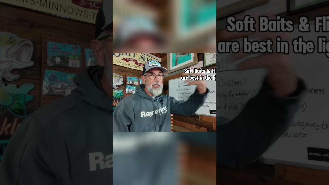 Ночные огни — сейчас самое популярное место для ловли рыбы! 