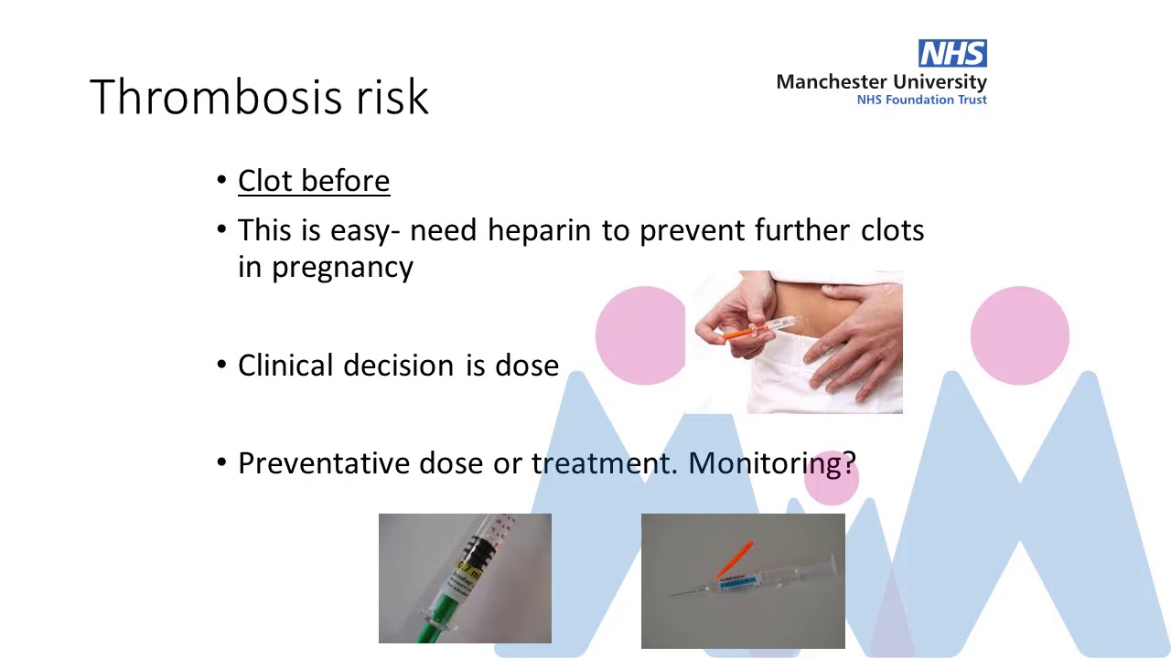 2019 APS Patients Day Part 3 Pregnancy planning