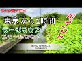 千葉県利根川水系ポイント紹介「柏市、野田市」付近