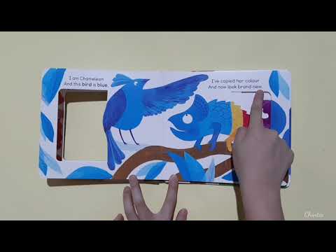 《Read Aloud》 Chameleon's Colours ☆ Animals Shaped Board Book 《Read Aloud》 Chameleon's Colours ☆ Animals Shaped Board Book