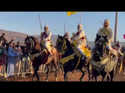 خيول عربية بربرية مليحة بمهرجان اولاد أمبارك بني ملال