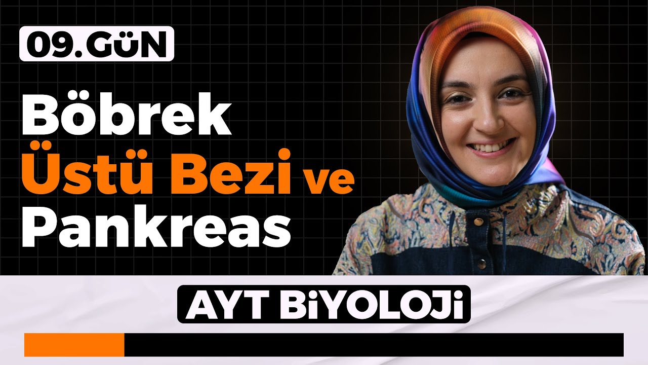 9) Böbrek Üstü Bezi - Pankreas | 11. Sınıf Biyoloji | 2026 AYT Biyoloji Kampı 9. Gün