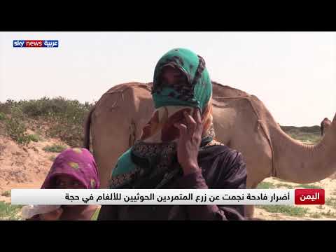 اليمن أضرار فادحة نجمت عن زرع المتمردين الحوثيين للألغام في حجة 