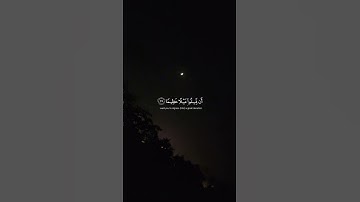 سورة النساء، القارئ طارق محمّد.🖤