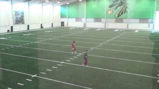 Brandon Person, Tiffin, Safety, 6 0, 220, 2015 NFL Pre Draft Workout for Cardinals
