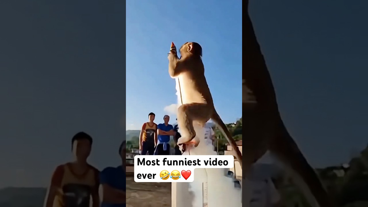 Самое смешное видео на YouTube за всю историю 😂🤣