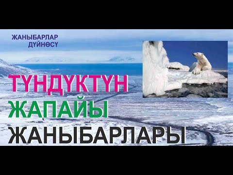 Video: Түндүктүн жаныбарлары жана канаттуулары: алар суукка кантип көнүшөт? Россиянын Ыраакы Тундугунун канаттуулары