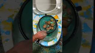 Xem Thôi Đừng Thử Do Not Try This On Your Toilet