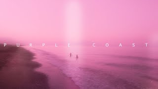 almogfx - purple coast w/ vinter