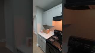 Rouge 1x1 Flat Upgraded with Upgraded Appliances