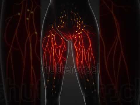#medicalimaging #humananatomy #human