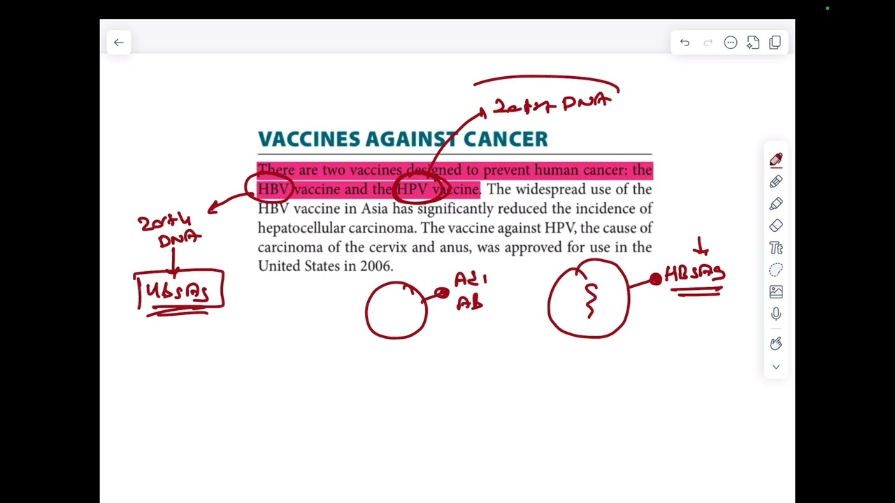 21  FA 5DK HPV HBV AŞILARI